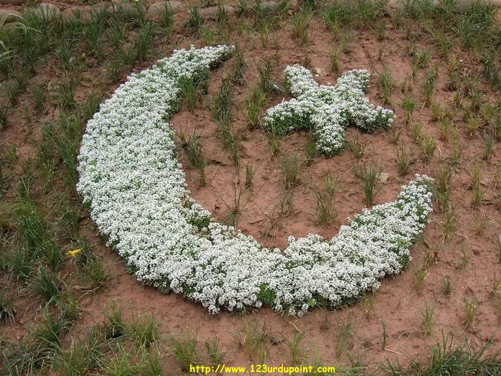 14 August Independence Day of Pakistan HD Wallpapers 22 pakistan-Independence-Day-2015-wallpapers-2015-22