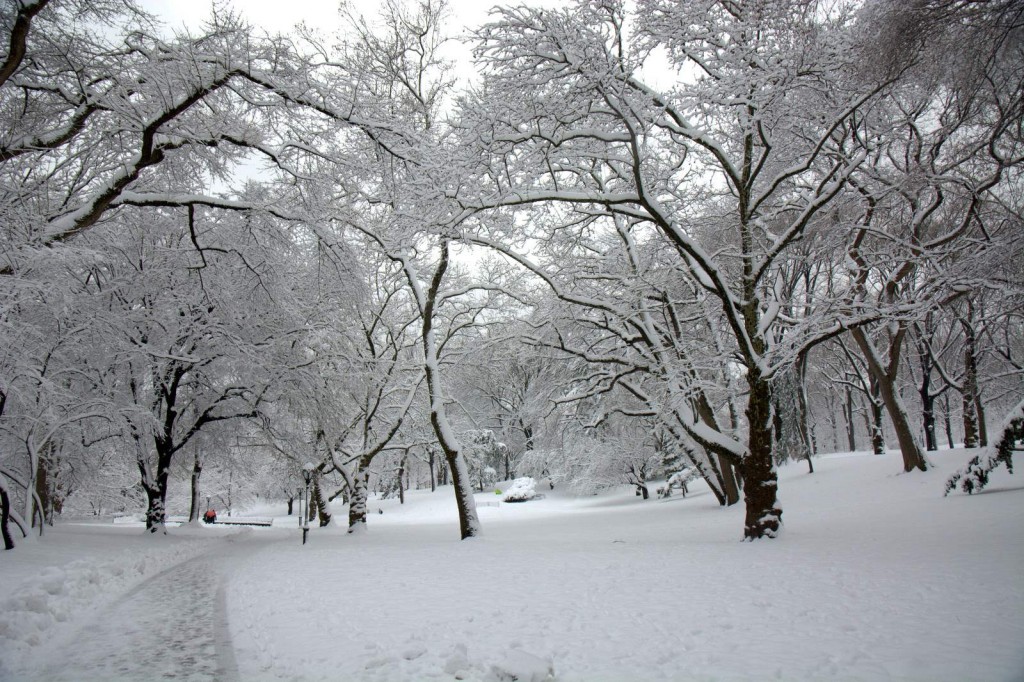 winter-christmas-wallpaers-new-year-designsmag-47
