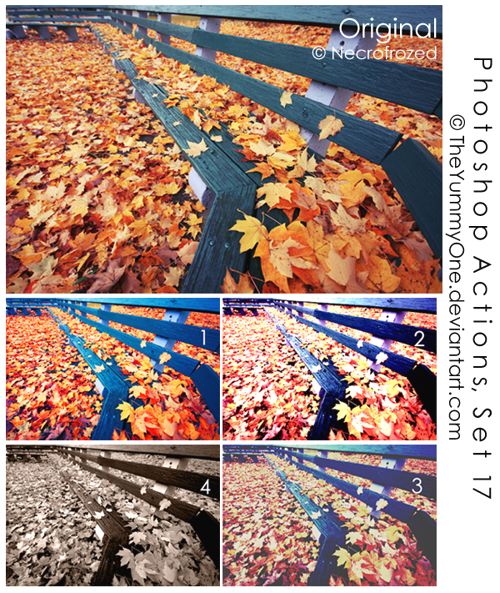 photoshop actions for adding autumn colors.
