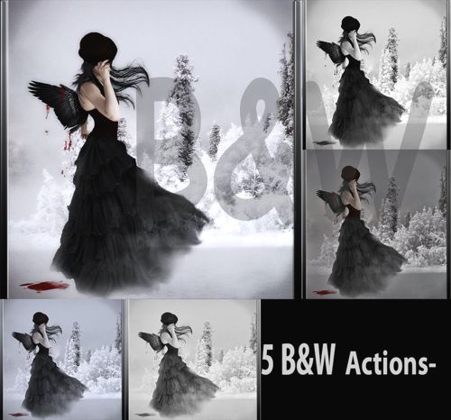 black and white photoshop actions.