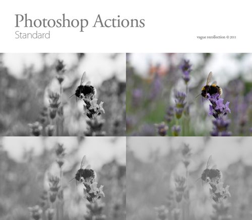 black and white actions.
