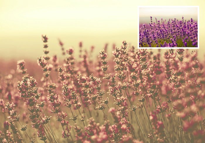 desert-dust-photoshop-actions