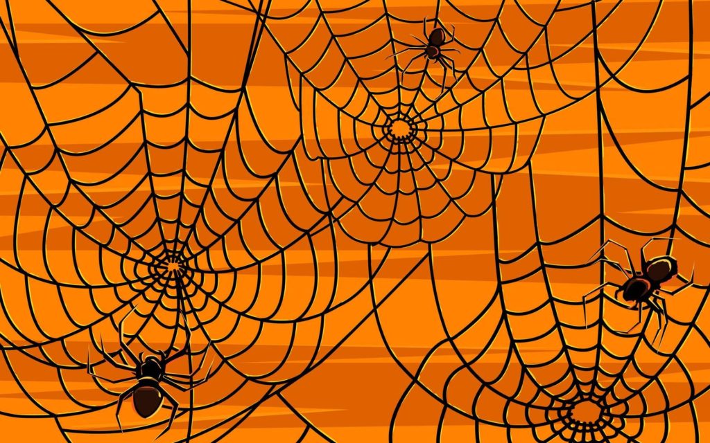 halloween-spider-wallpaper-004
