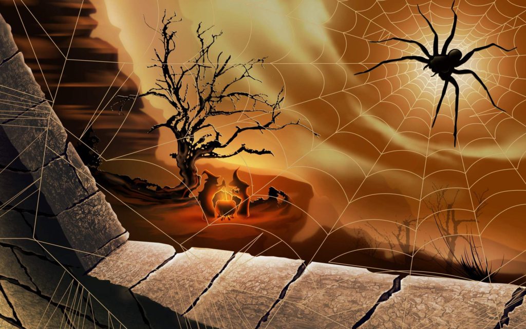 halloween-spider-wallpaper-006