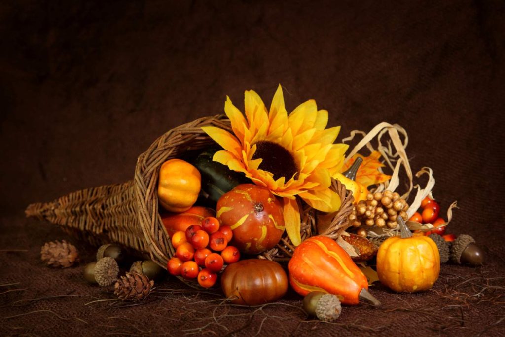 80 HD Happy Thanksgiving Wallpapers and Printable Cards 11 HD Happy Thanksgiving wallpapers