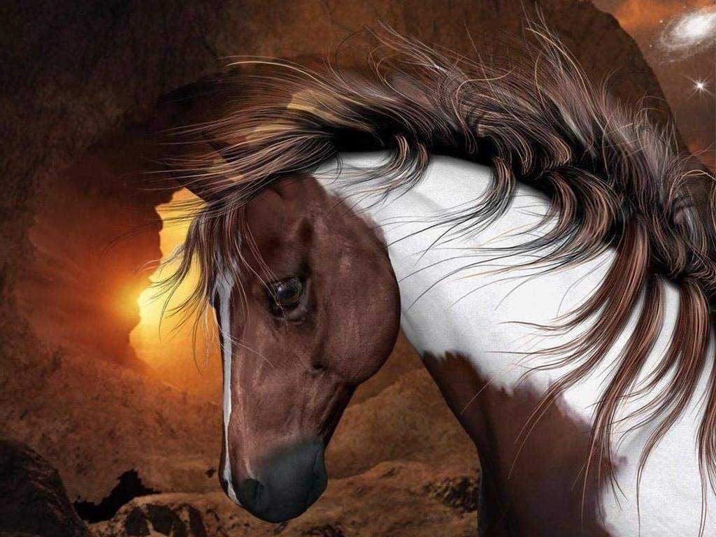 Horse - Unique Wallpaper