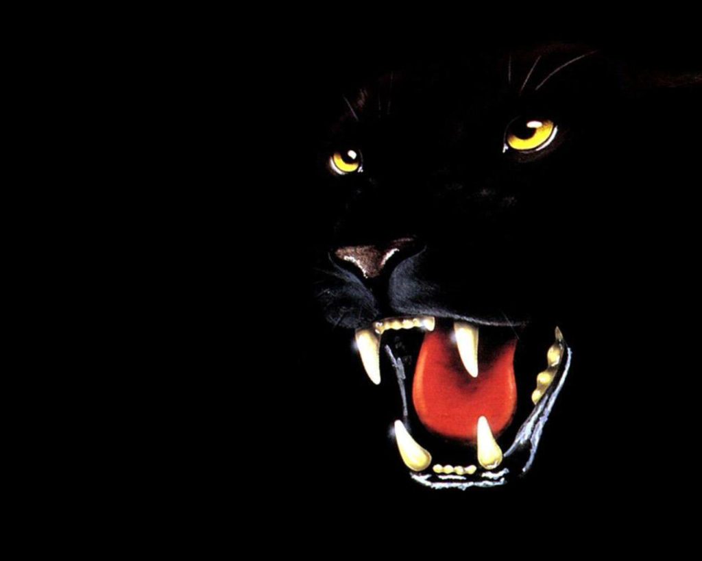 Black Panther - Unique Wallpaper
