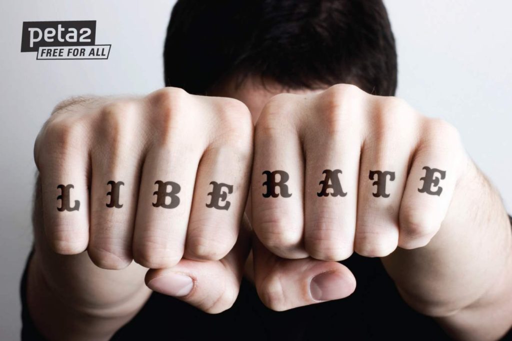 Tribal Tattoos on Finger